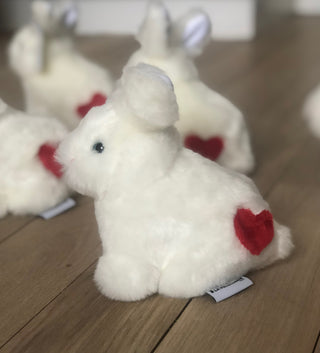 Mon lapin Léon d'Amour ! ❤️