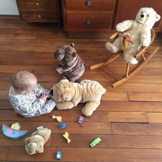 Pourquoi le doudou est-il indispensable aux enfants ?