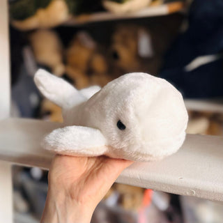 Whale Romy
