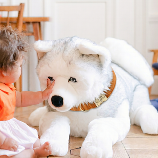 Husky Léonard