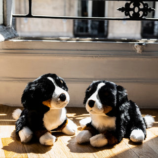 Dog Ferdinand