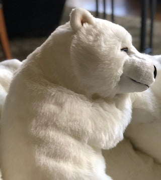 Bear Lucien