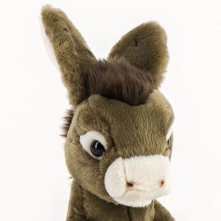 Donkey Gaston
