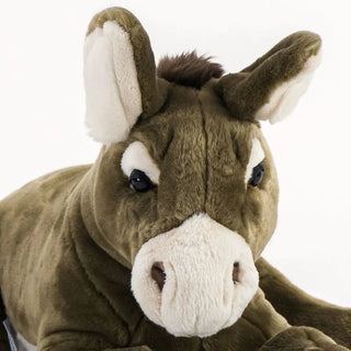 Donkey Gaston