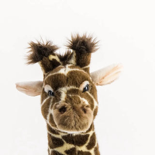 Giraffe Zoé