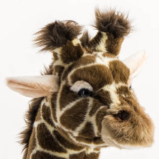 Giraffe Zoé