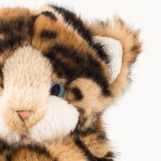 Ma peluche Chat Gustave