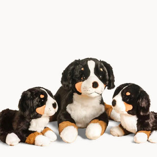 Dog Ferdinand