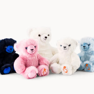 Bear Émile