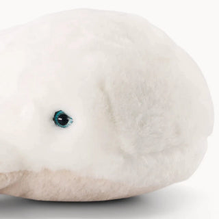 Whale Romy