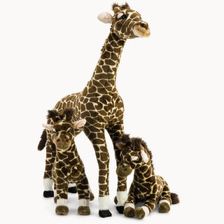 Giraffe Zoé