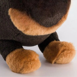 Dachshund Eugène