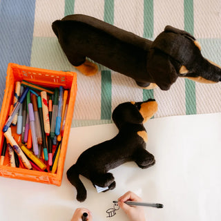 Dachshund Eugène