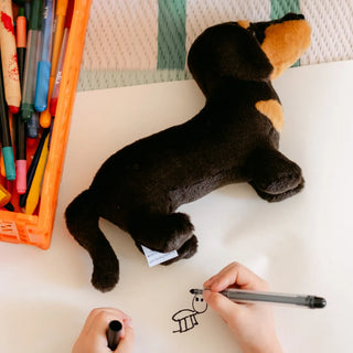 Dachshund Eugène