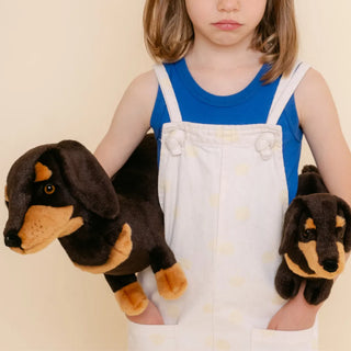 Dachshund Eugène
