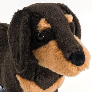 Dachshund Eugène