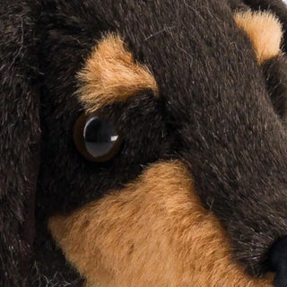 Dachshund Eugène