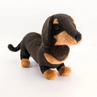 Dachshund Eugène