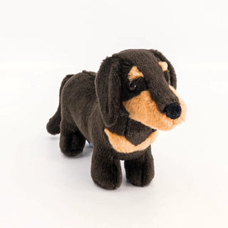 Dachshund Eugène