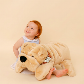 Ma peluche Chien Hector