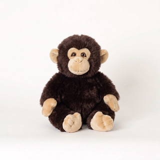 Monkey Marcel