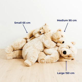 Bear Lucien