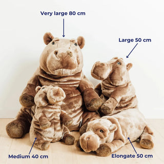 Hippopotamus Edgar