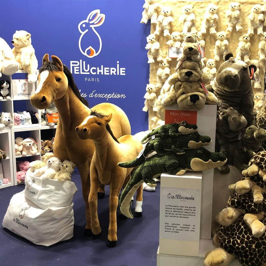 Our Exceptional Retailers and Partners