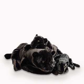 LP-PACKSHOT-GRIS