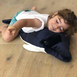 Dolphin Auguste