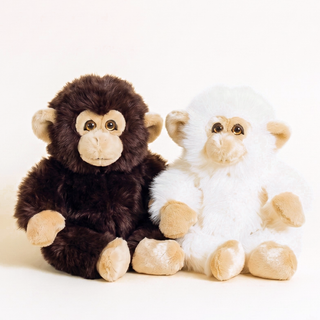 Monkey Marcel