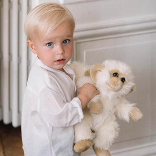 Monkey Marcel