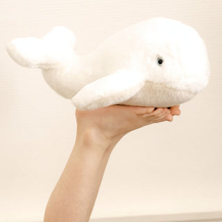 Whale Romy