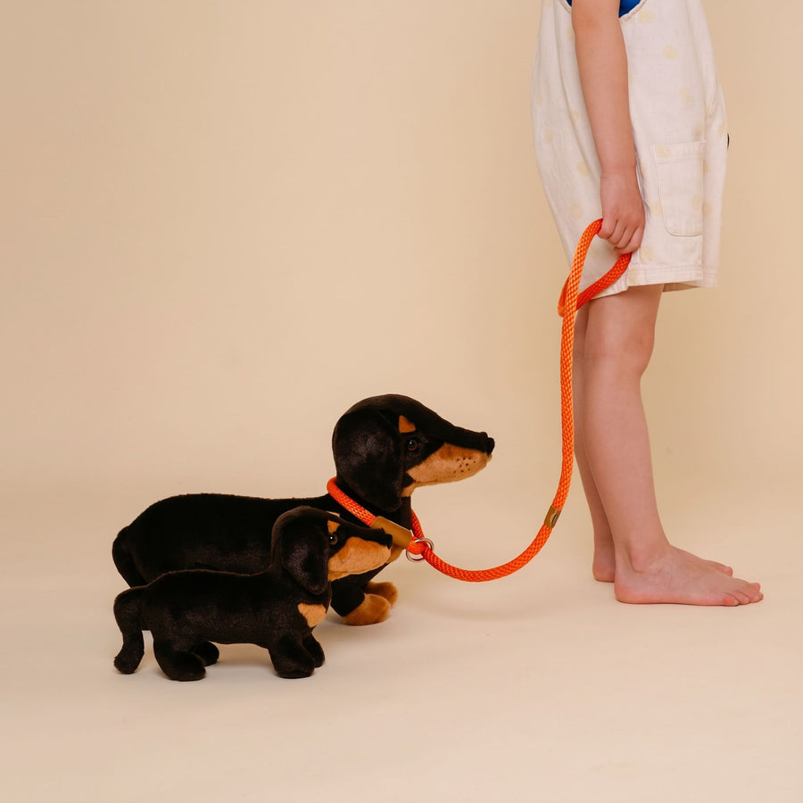 Our Dog Plush Toys