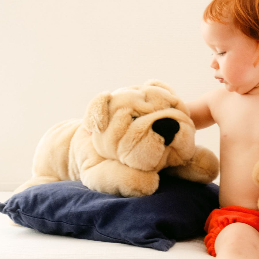 Our Iconic Plush Toys