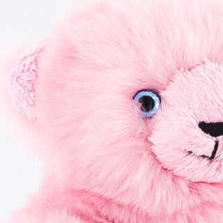 Bear Émile
