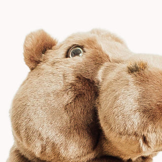 Hippopotamus Edgar