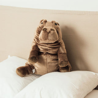 Hippopotamus Edgar