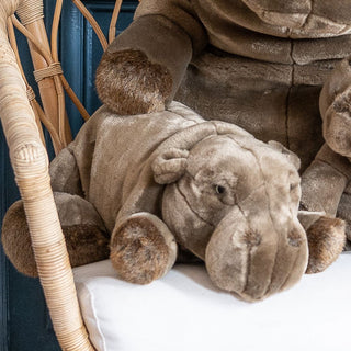 Hippopotamus Edgar
