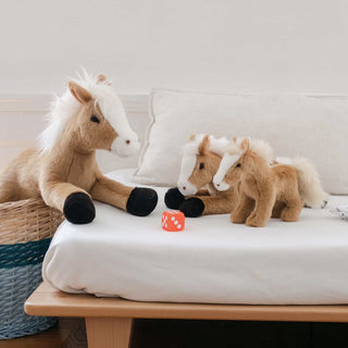 famille cheval pour naissance et enfant de La Pelucherie 