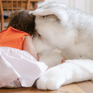 Husky Léonard