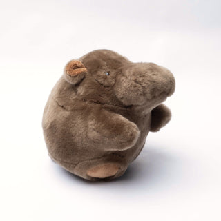 Ma Peluche Roodoodoo