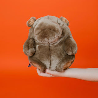 Ma Peluche Roodoodoo