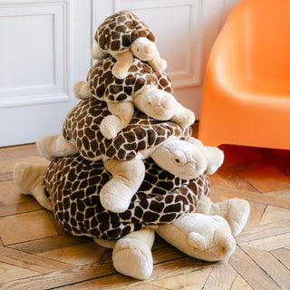 Famille peluche tortue, La Pelucherie