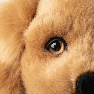 Détail d'un œil de peluche chien, paupière en cuir, haut de gamme, fabriqué en Italie, La Pelucherie