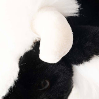 Cow Colette