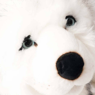 Husky Léonard