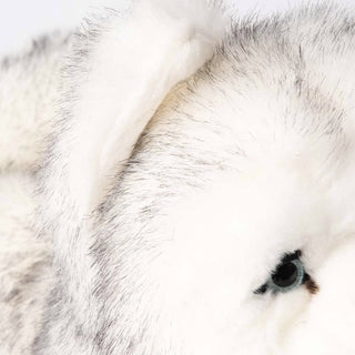 Husky Léonard