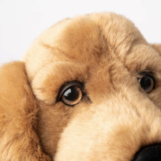 Focus sur le haut de la tête, peluche chien marron, garantie à vie, magasin peluche, La Pelucherie