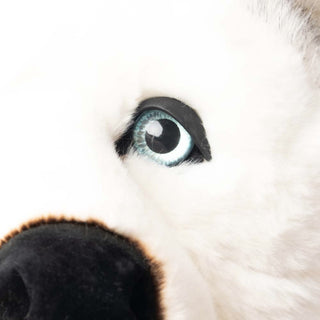 peluche husky de la pelucherie 